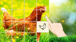 Летние курочки: слайд пазл Играй на Яндекс Игры