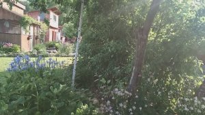 Как помочь своим растениям в жару!🔥🌿 Что горит от солнца и чем прикрываю теплицы!