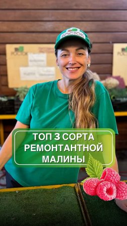 В 2 раза больше урожая малины: топ-3 ремонтантных сорта малины 💚