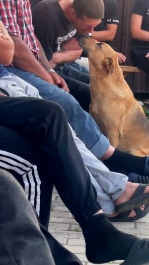 Наш Толян ♥️