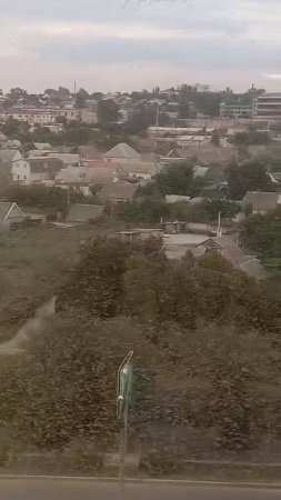 Запорожье атаковали миллионы египетской саранчи. Они буквально заполонили всё вокруг. 😱