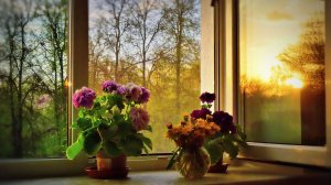 Старинная  народная  песня . Зайди солнце за оконце .  Поёт  Валентина Дробышева . Акапелла.