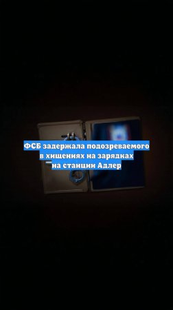 ФСБ задержала подозреваемого в хищениях на зарядках на станции Адлер