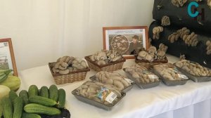 Раис Татарстана побывал с рабочим визитом в Аксубаевском районе