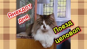 Анекдот дня. Про тёщу.
