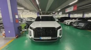 Осмотр Hyundai Palisade 2.2 Diesel