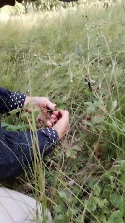 Зайчик и полуника. 19.07.2025