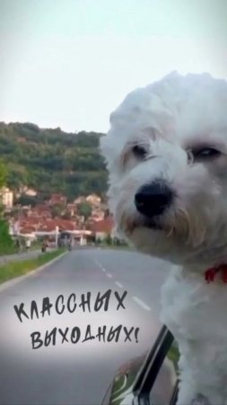 Классных выходных