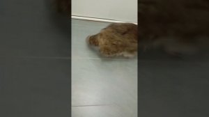 Вся Лулу, как Она есть!❤️