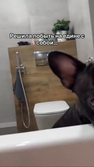 Без него никак