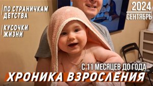 Моя история. Глава одиннадцатая 🐿️