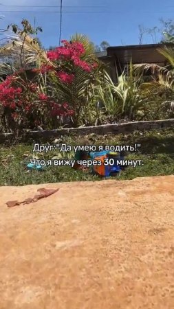 Друг когда говорит что умеет водить