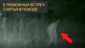 6 Самых Тревожных Встреч В Походе, Когда-Либо Заснятых На Камеру