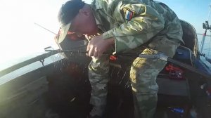 ОНЕЖСКОЕ ОЗЕРО 26.07.2024 НОЧНОЙ ТРОЛЛИНГ СУДАКА