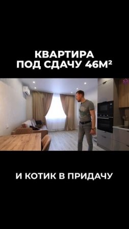 #кот #тренды #дизайнинтерьера #ремонтквартиры #квартира #ремонт #рекомендации #рек #перепланировка