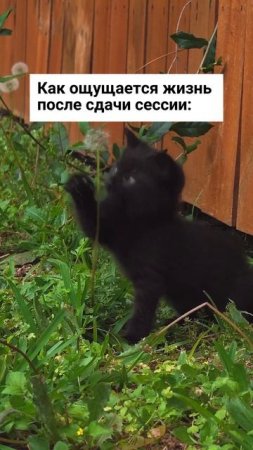 Благодать! ❤️