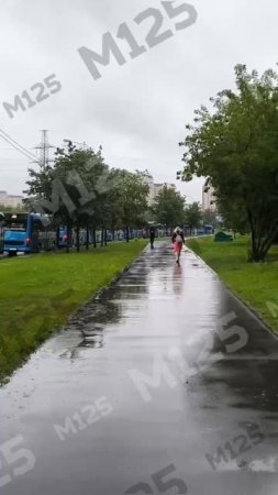 Электробусы в Новокосино встали из-за непогоды