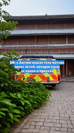 DM: в Англии нашли тело матери троих детей, которая ушла за вином и пропала