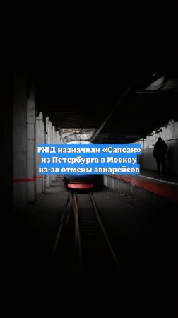 РЖД назначили «Сапсан» из Петербурга в Москву из-за отмены авиарейсов