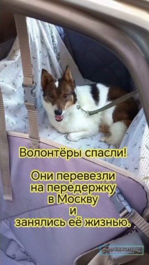 Хочу в семью!