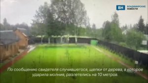 Во Владимирской области молния ударила в дерево