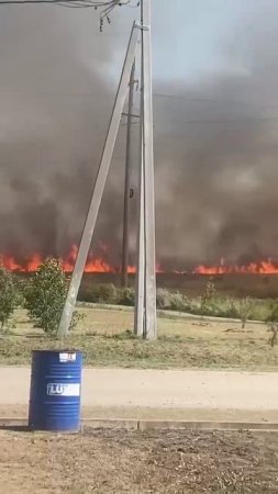 Крупный ландшафтный пожар разгорелся под Таганрогом. 🔥