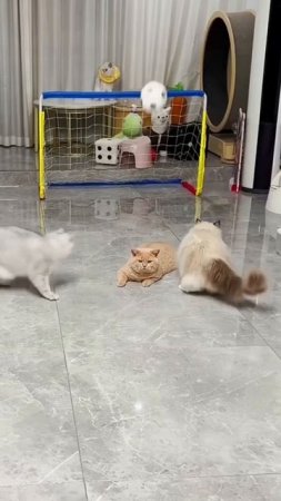 Когда жизнь бьет ключом, а ты рыжий!