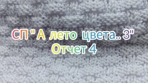 СП "А лето цвета..3" Отчет 4 Участник 43
