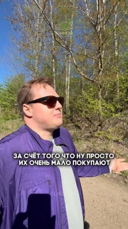 покупать или обождать #clinlicar #automobile #автоподборспб #автоподбормосква