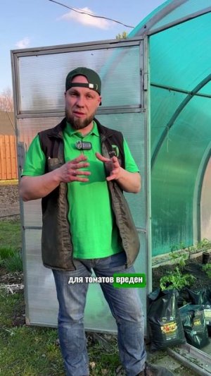 2 критические ошибки полива томатов #дача #огород #комнатныерастения #сад #garden   #томаты