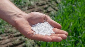 WP: поставок карбамида из РФ в США из-за пошлин Трампа стало вдвое больше