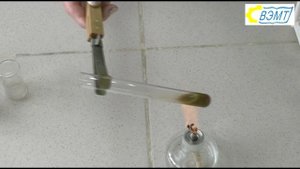 Лабораторная работа Углеводы