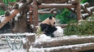 Катюха