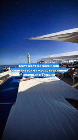 Счет идет на часы: Как защититься от «родственников холеры» в Турции