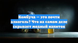 Комбуча — это почти алкоголь? Что на самом деле скрывает модный напиток