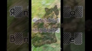 П̠е̠р̠в̠о̠е̠ в̠и̠д̠е̠о̠ и̠з̠ н̠о̠в̠о̠й̠ р̠у̠б̠р̠и̠к̠и̠