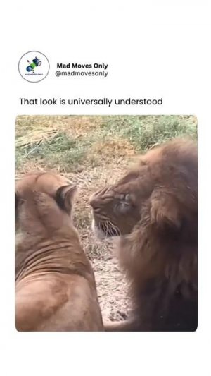 1000065248.mp4