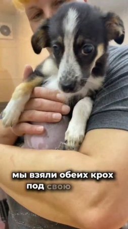 Выбросили и забыли... | Юмми