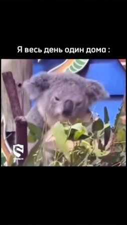 Время интеллектуального юмора
#юмор #смешно #мем #парни #отношения #дружба #пара