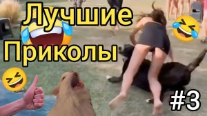 Лучшие приколы #3.😂😂😂 Смеялся до слез. 🤣🤣🤣 Самые смешные видео. 😆