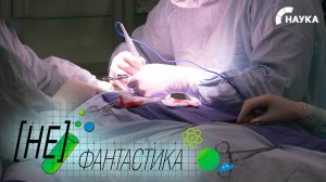 В России разработали новую методику обнаружения неправильно работающих околощитовидных желез