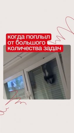 «Шестидневка», или «Как выжить в потоке задач»