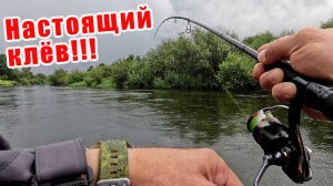 КЛЁВ КАК ИЗ ПУЛЕМЁТА!!! ТЕСТ НОВОГО КОМПЛЕКТА ДЛЯ ЗАБРОДНОЙ РЫБАЛКИ!!! Redbor и Ronin Rush!!!