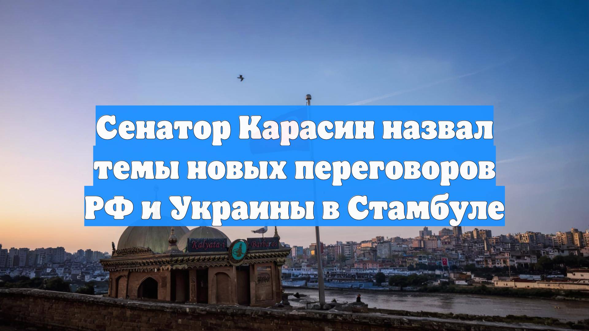 Сенатор Карасин назвал темы новых переговоров РФ и Украины в Стамбуле