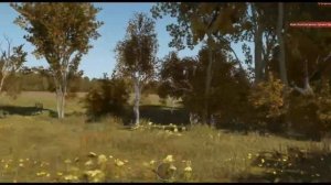 C4 и стабильная работа сервера (Arma Refodger)