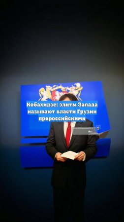Кобахидзе: элиты Запада называют власти Грузии пророссийскими