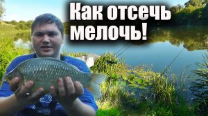 Как отсечь мелочь  и ловить только КРУПНОГО карася на фидер! Рыбалка 2020 г.