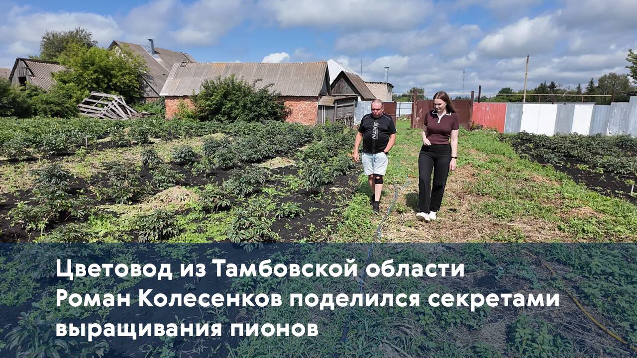 Цветовод из Тамбовской области Роман Колесенков поделился секретами выращивания пионов