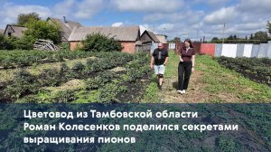 Цветовод из Тамбовской области Роман Колесенков поделился секретами выращивания пионов