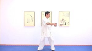 Тайцзи-цигун Шибаши